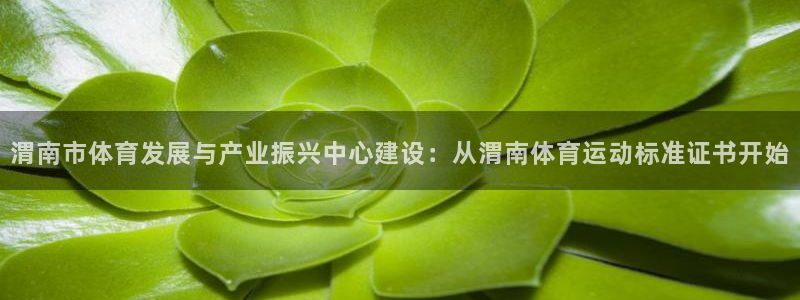 关键词：渭南市体育发展与产业振兴中心建设：从渭南体育运动标准证书开始