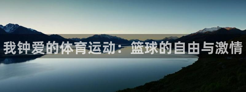 关键词：我钟爱的体育运动：篮球的自由与激情