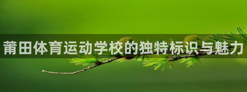 球新体育