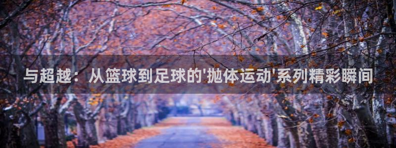 球新体育