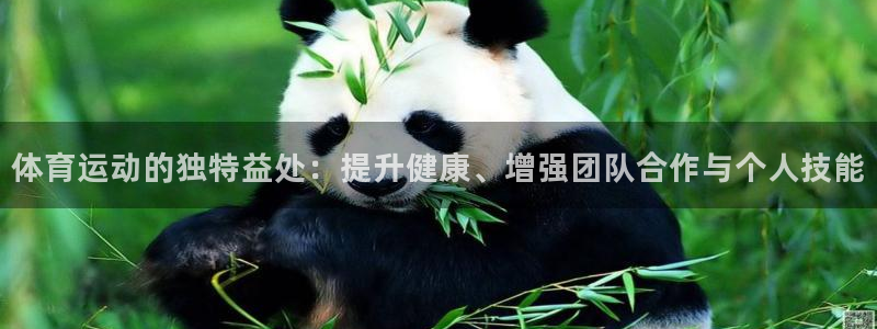 球新体育