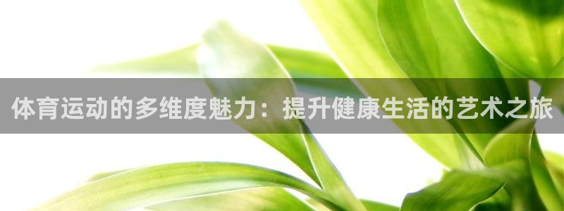 球新体育