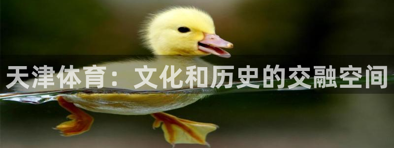 球新体育