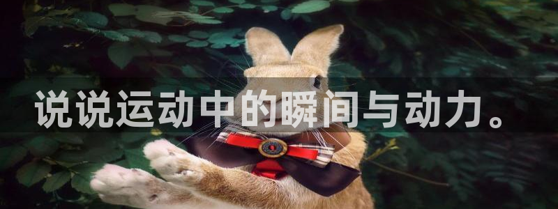 关键词：说说运动中的瞬间与动力。