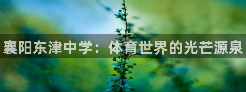 球新体育：襄阳东津中学：体育世界的光芒源泉