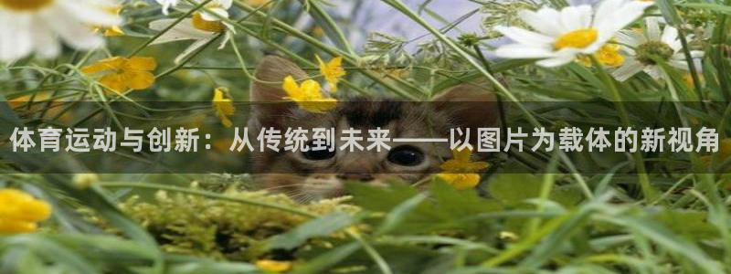关键词：体育运动与创新：从传统到未来——以图片为载体的新视角
